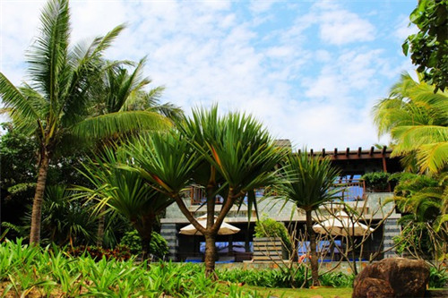 豆啡艾豆豆家私房蛋糕