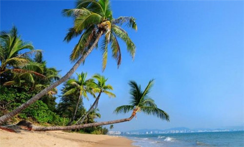 加盟麻辣办串串在宜黄县开店什么位置好，2025年还能在宜黄县开串串香店吗