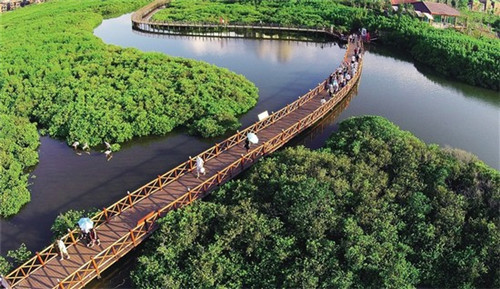 加盟绿禾寿司投资成本多少，开家绿禾寿司加盟店靠谱吗