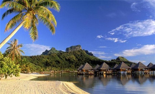 喜悦鱼粉加盟费用多少钱才够