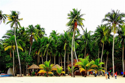 舒兰市有什么好的增压泵加盟品牌（舒兰市有什么好的增压泵加盟品牌店）