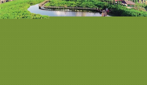 抖音评论可以点亮小红心吗（点了抖音评论后面的小红心,谁能看到）