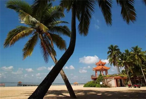 目前张家包子铺加盟都有哪些优势，张家包子铺加盟费多少